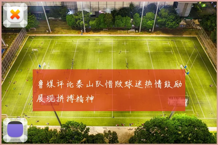 鲁媒评论泰山队惜败球迷热情鼓励展现拼搏精神