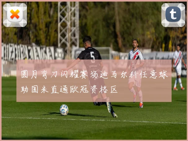 圆月弯刀闪耀赛场迪马尔科任意球助国米直通欧冠资格区